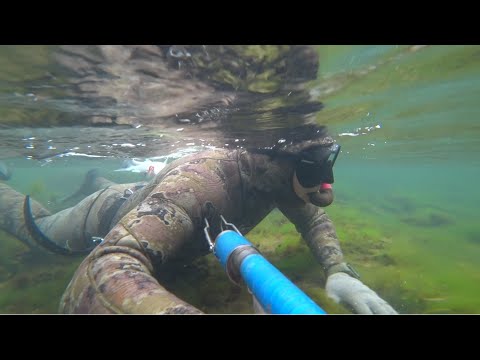 Видео: Ставьте сковородку ,а рыба будет ).