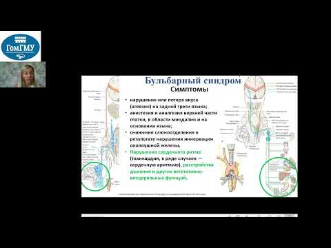 Видео: Бульбарный и псевдобульбарный синдромы