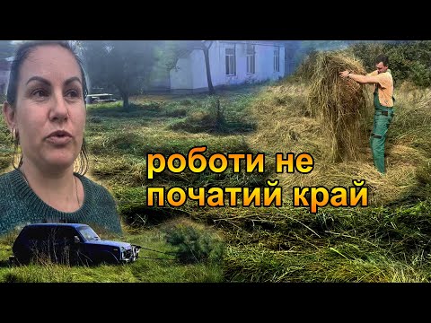 Видео: Купили будинок. Наводимо порядок на ділянці. Наш сад