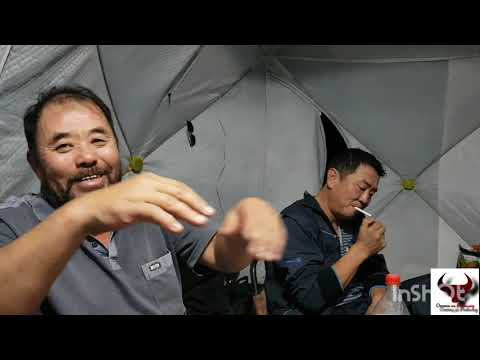 Видео: Сезон Жереха Лепсы!Саша рассказывает как готовят "Хе из рыбы!" 10.10.2021г.