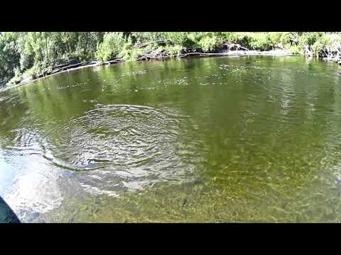 Видео: Как поймать ЛЕНКА ? По просьбе зрителя .  Секреты от тайменя !!!