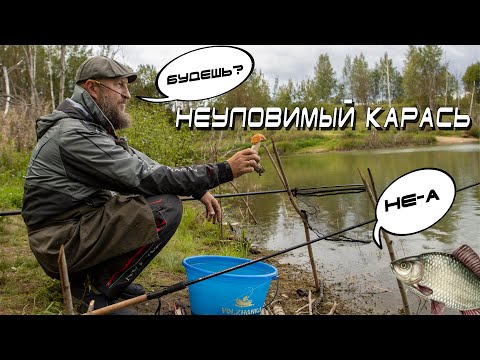 Видео: Поймать карася - это просто! Или нет?