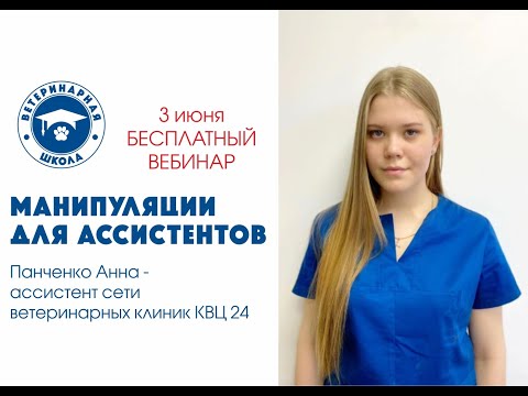 Видео: Манипуляции для ассистентов | Ветеринарная школа