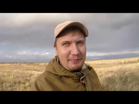 Видео: #1 Осеннее Открытие Ходовой Охоты. Охота с Курцхааром.