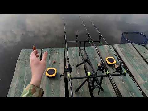 Видео: Жор Карпа!!! Рыбалка на карпа на Флэт Фидер! Флэт Рулит!