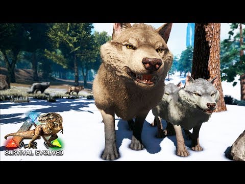 Видео: ВОЛЧИЦА В ПОИСКАХ СЕМЬИ