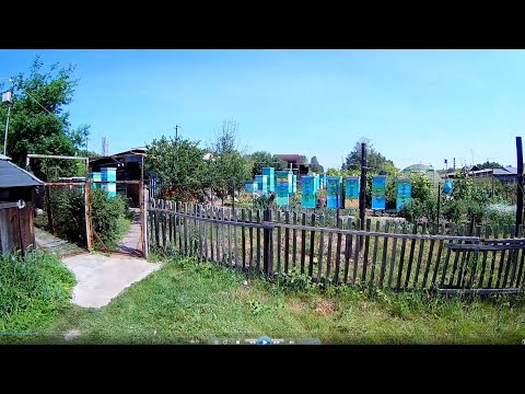 Видео: Стационарная пасека в центре села