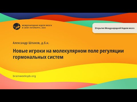 Видео: Новые игроки на молекулярном поле регуляции гормональных систем