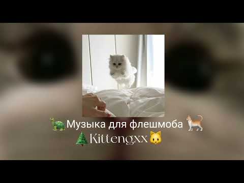 Видео: ❤‍🔥музыка для флешмоба🐈