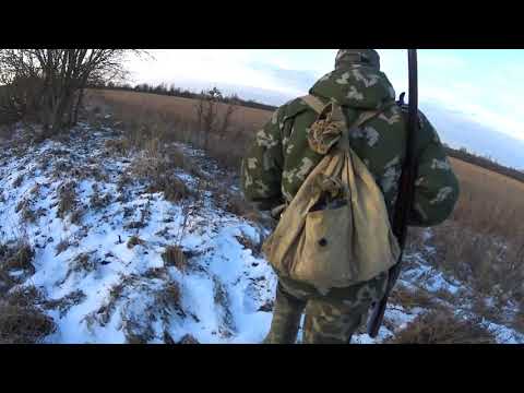 Видео: ОХОТА НА ЗАЙЦА В БЕЛАРУСИ. КРАЙНЯЯ В 2020 ГОДУ