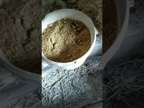 Видео: раціон для поросят/премікс/відгодівля