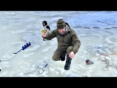 Видео: Ловлю хариус новым способом. Рыбалка на севере. Весна 2025