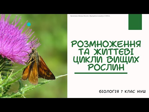 Видео: Біологія 7 клас НУШ Розмноження та життєві цикли вищих рослин