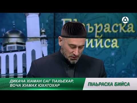 Видео: П1аьраска бийса.  Амар-нахьи дар.