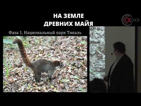 Видео: Дмитрий Беляев. Лекция "На земле древних Майя"