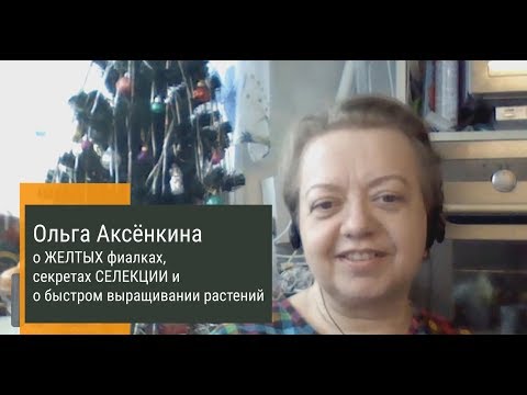 Видео: СЕЛЕКЦИОНЕР Ольга Аксёнкина о ЖЕЛТЫХ фиалках, секретах СЕЛЕКЦИИ и быстрого выращивания растений