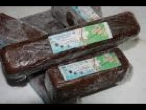 Видео: ДИСКУСЫ. Aquarists of Russia Чудо корм для рыб "Кристалл".