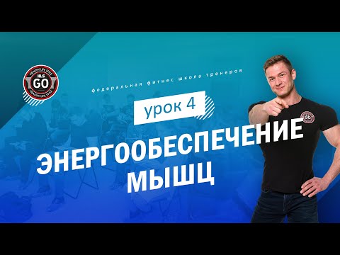 Видео: Энергообеспечение мышц - урок 4 (углеводы и гликолиз)
