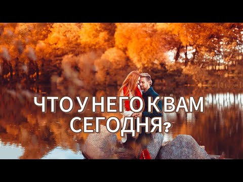 Видео: ЧТО У НЕГО К ВАМ СЕГОДНЯ? СЕЙЧАС?