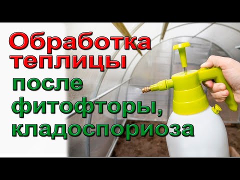 Видео: Обработка теплицы после фитофторы, кладоспориоза