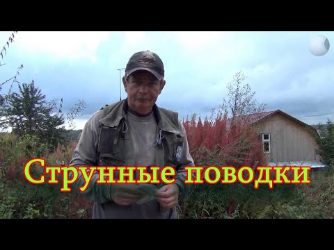 Видео: Константин Кузьмин. Струнные поводки.