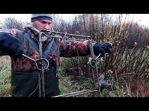 Видео: Охота на бобра капканами КП-320 // Открытие сезона, осень 2025