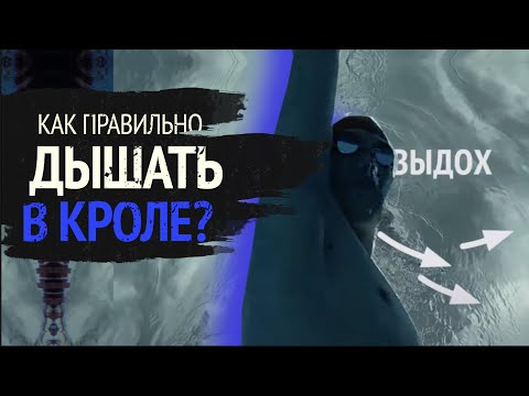 Видео: Как правильно дышать в кроле?/Как научиться плавать самостоятельно?