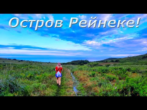 Видео: 3 дня на о Рейнеке  ( Владивосток ) в тайфун ))