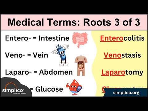 Видео: Медицинская терминология: корни слов УПРОЩЕНЫ [Сестринское дело, студенты, курсы программирования]