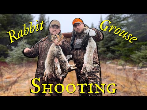 Видео: Охота на мелкую дичь - Ньюфаундленд (беляк и тетерев!)