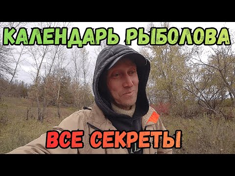 Видео: Откровенно о стройке и питомцах. Готовлюсь к зиме.