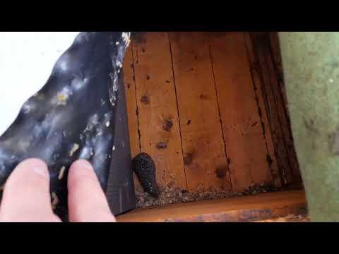 Видео: Як налаштована вентиляція у вуликах лежаках.