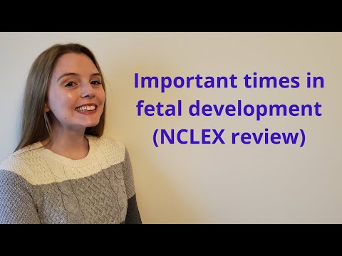 Видео: ВАЖНЫЕ НЕДЕЛИ РАЗВИТИЯ ПЛОДА | ОБЗОР NCLEX