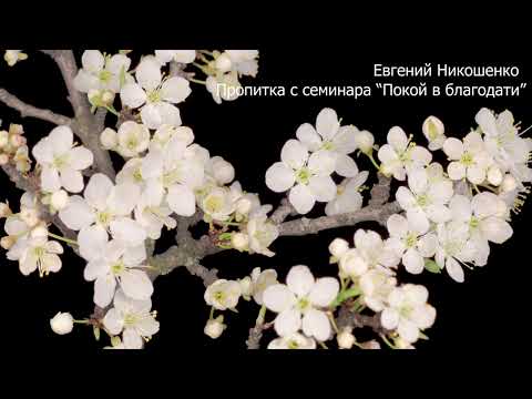 Видео: Молитвенная пропитка 8 - Евгений Никошенко (с семинара "Покой в благодати")