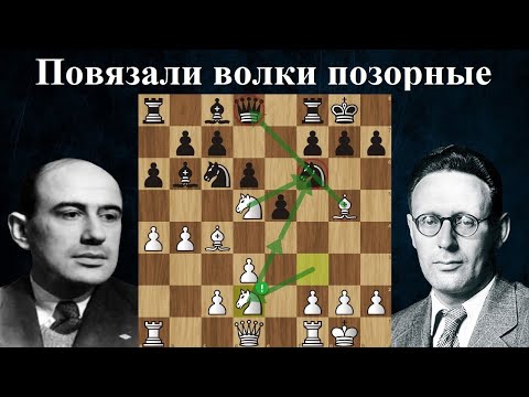 Видео: Илья Кан громит в 13 ходов Ботвинника гамбитом Эванса! ♟ Шахматы