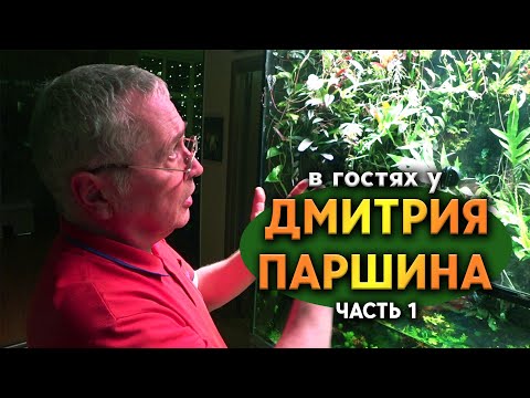 Видео: В гостях у Дмитрия Паршина Часть 1. Необычайно красивый и большой палюдариум.