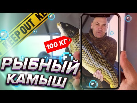 Видео: ПОДВОДНАЯ ОХОТА НА САЗАНА ВЕСНОЙ В САРАТОВСКОЙ ОБЛАСТИ