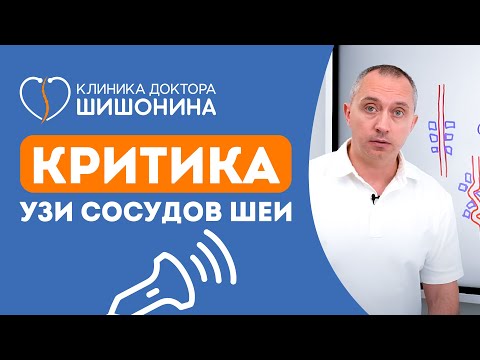 Видео: Критика УЗИ сосудов шеи. Доктор Шишонин наносит ответный удар 🏌🏼☝🏼