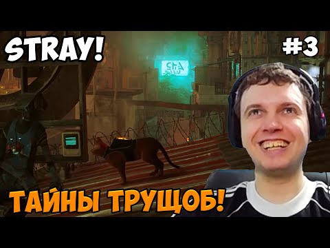 Видео: Папич играет в Stray! Тайны трущоб! 3