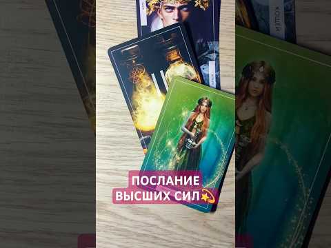 Видео: ПОСЛАНИЕ ВЫСШИХ СИЛ💫таро