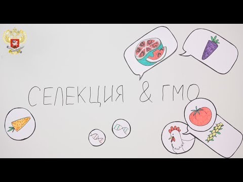 Видео: Селекция vs ГМО