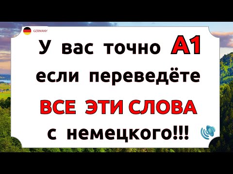 Видео: Сможете ПЕРЕВЕСТИ ЭТИ СЛОВА на немецкий? Самые ВАЖНЫЕ СЛОВА для разговора. Немецкий для начинающих