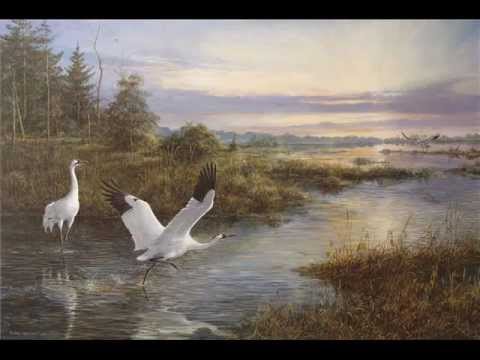 Видео: Тамара КРАВЦОВА - Журавли