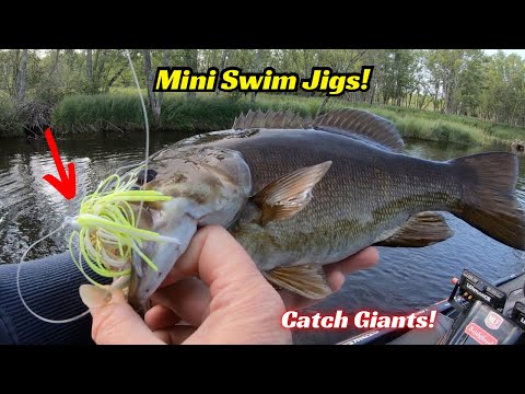 Видео: Эту мини-приманку для плавания невозможно остановить!