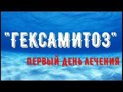 Видео: Начало лечения Гексамитоза у Цихлид.