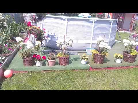 Видео: 1 июля 2024г.