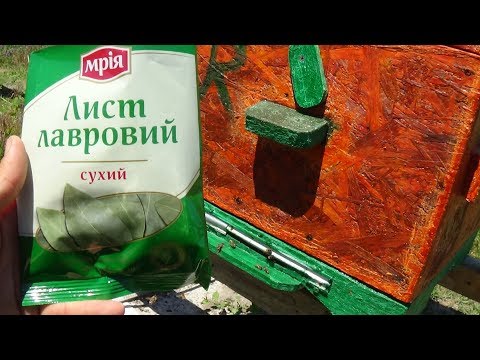 Видео: Народная профилактика против моли ЛЛ на пасеке