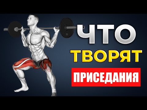 Видео: Что Будет с Нашим Телом Если делать Приседания со Штангой