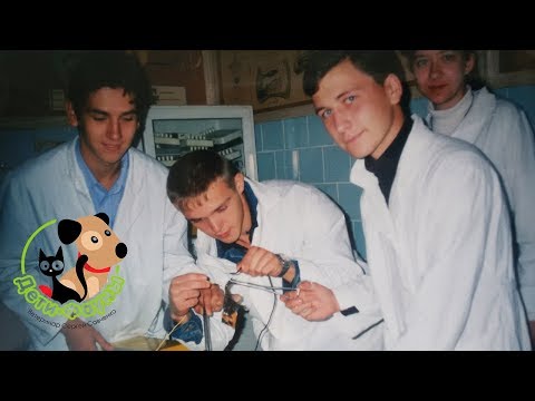Видео: Почему не стоит учиться на ветеринара, 8 минусов профессии