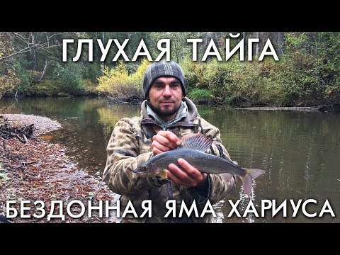 Видео: ГЛУХАЯ ТАЙГА / БЕЗДОННАЯ ЯМА ХАРИУСА / РЫБАЛКА ОСЕНЬЮ НА СПИННИНГ